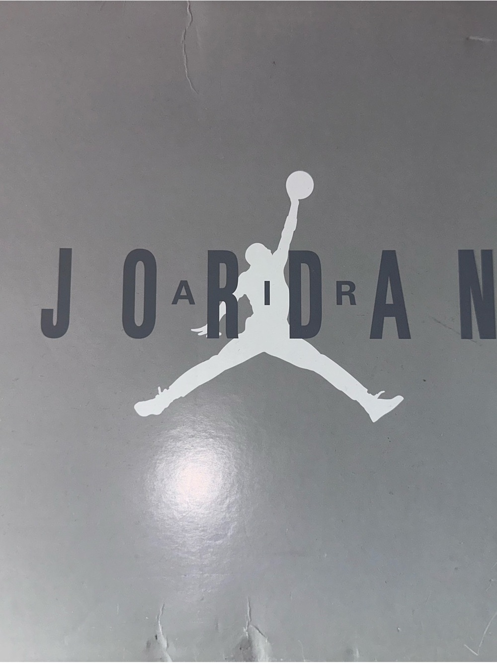 Jordan Logo Wall Decal in White and Gray